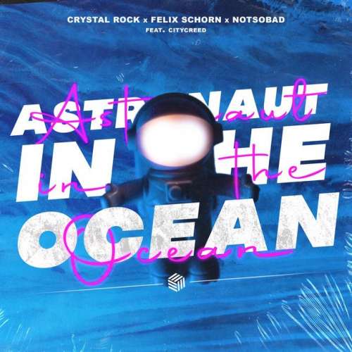 Astronaut In The Ocean